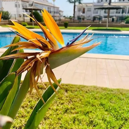 Punta Prima Flat With Private Roof Terrace